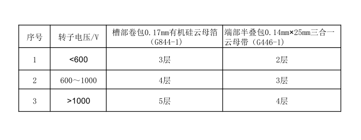 轉子繞組絕緣規(guī)范.png