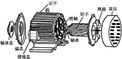 三相鼠籠式電動機構(gòu)造圖