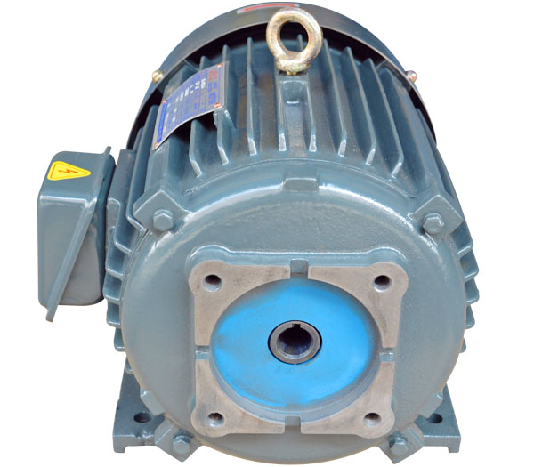 變頻調(diào)速電動(dòng)機(jī)與普通電動(dòng)機(jī)的區(qū)別